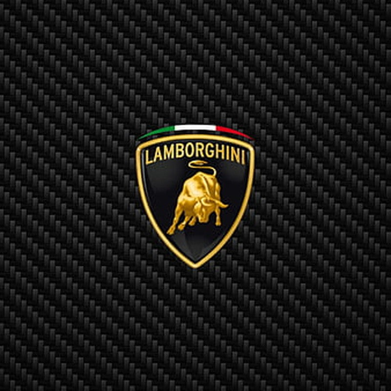 Lamborghini Logo auf Carbon