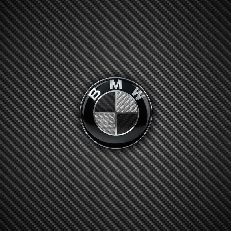 BMW Logo auf Carbon